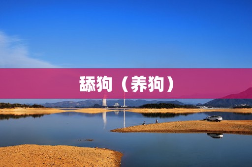 舔狗（养狗）