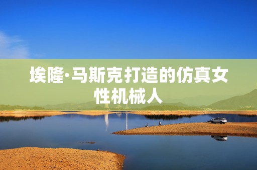埃隆·马斯克打造的仿真女性机械人