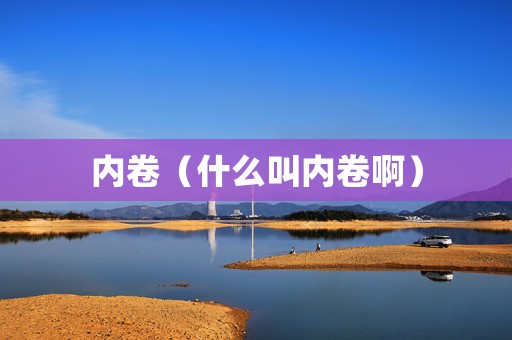内卷（什么叫内卷啊）