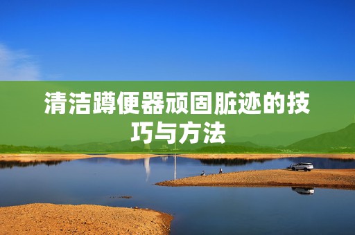 清洁蹲便器顽固脏迹的技巧与方法