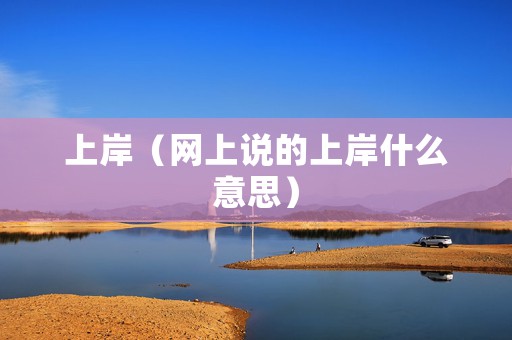上岸（网上说的上岸什么意思）