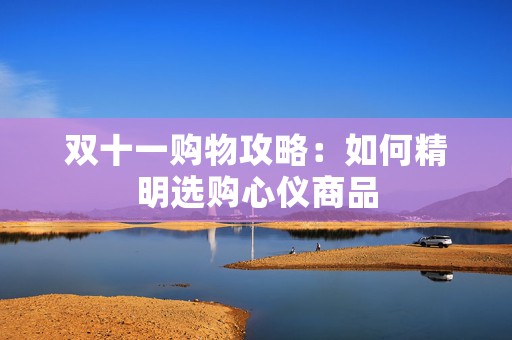 双十一购物攻略：如何精明选购心仪商品