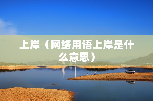 上岸（网络用语上岸是什么意思）