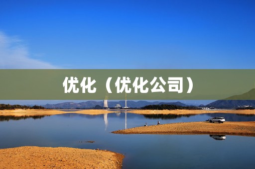优化（优化公司）