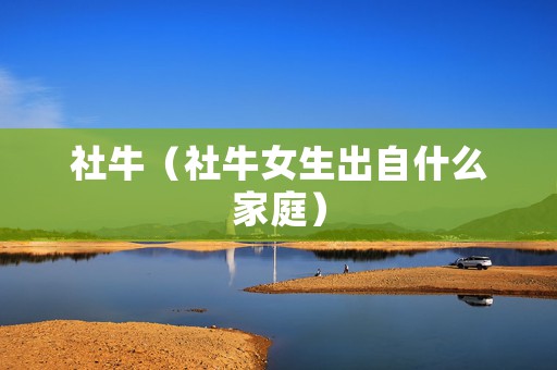 社牛（社牛女生出自什么家庭）