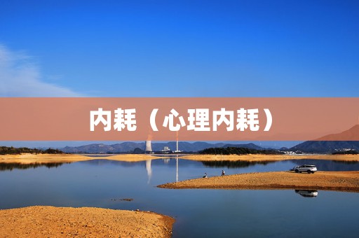 内耗（心理内耗）