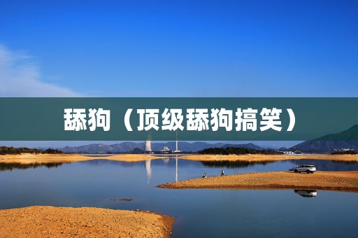 舔狗（顶级舔狗搞笑）