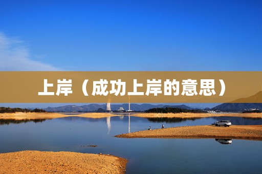 上岸（成功上岸的意思）