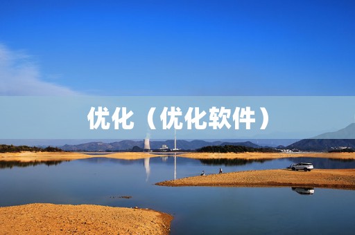 优化（优化软件）