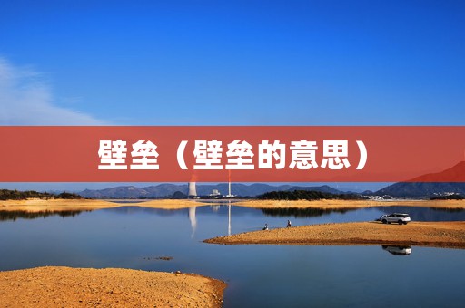 壁垒（壁垒的意思）