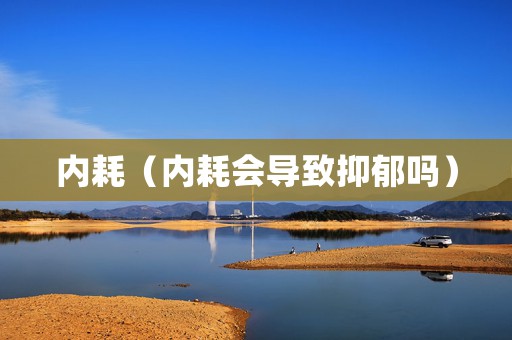内耗（内耗会导致抑郁吗）
