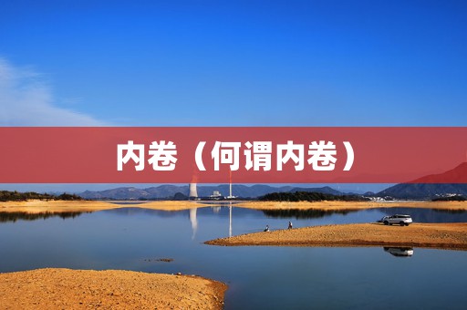 内卷（何谓内卷）