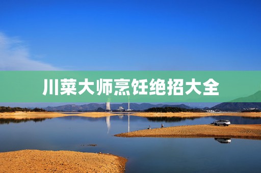 川菜大师烹饪绝招大全