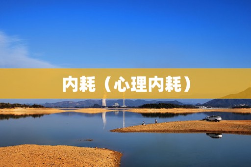 内耗（心理内耗）