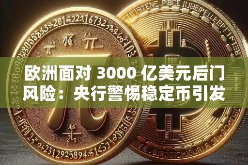 欧洲面对 3000 亿美元后门风险：央行警惕稳定币引发的金融压力  第1张