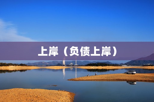 上岸（负债上岸）