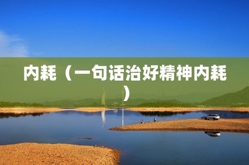 内耗（一句话治好精神内耗）