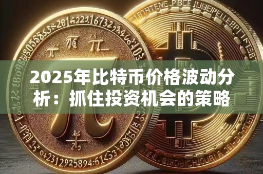 2025年比特币价格波动分析：抓住投资机会的策略