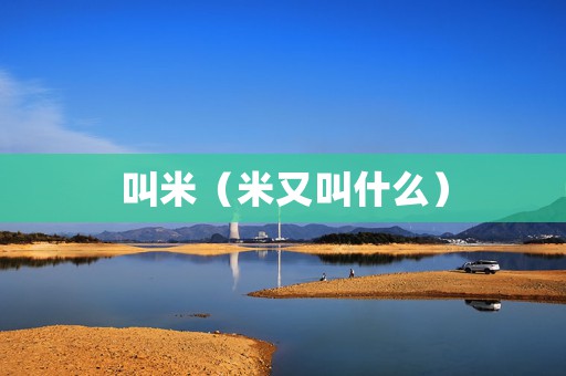 叫米（米又叫什么）
