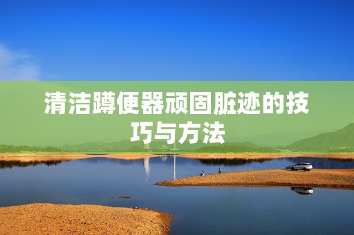 清洁蹲便器顽固脏迹的技巧与方法