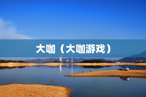大咖（大咖游戏）