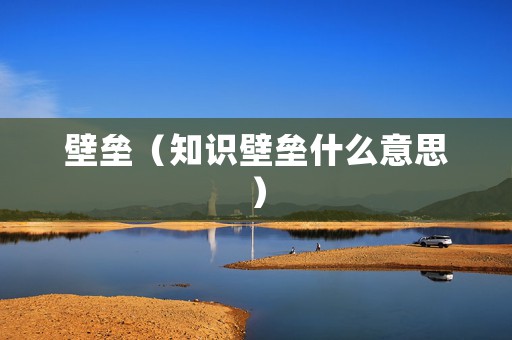 壁垒（知识壁垒什么意思）