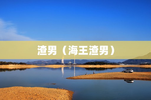 渣男（海王渣男）