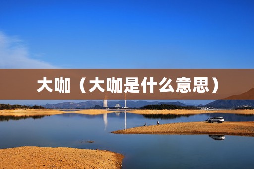 大咖（大咖是什么意思）